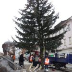 Kuriózní výměna stromu ve Strakonicích, příkaz vydal starosta