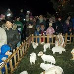 Na Táborsku září první stromy. Další se rozsvítí dnes
