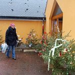 Na Táborsku září první stromy. Další se rozsvítí dnes