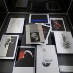 Husitské muzeum připomíná Peterkovy nedožité pětadevadesátiny