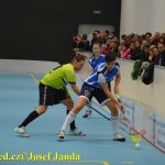 Florbal: Cesta k vítězství? Domácí hala!