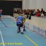 Florbal: Cesta k vítězství? Domácí hala!