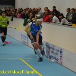 Florbal: Cesta k vítězství? Domácí hala!