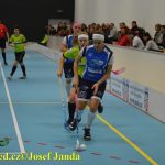 Florbal: Cesta k vítězství? Domácí hala!