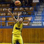 V derby Sokolů slavili výhru Sršni od Otavy