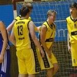 V derby Sokolů slavili výhru Sršni od Otavy