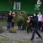 Vánoční stromky létaly do dálky