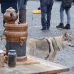 Protivín patřil maškarnímu průvodu