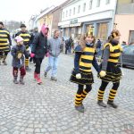 Protivín patřil maškarnímu průvodu