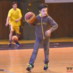 Sedmnáctiletí Sršni se přiblížili play off