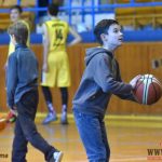 Sedmnáctiletí Sršni se přiblížili play off