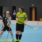 Florbal: Soběslav uspěla o víkendu jen z poloviny