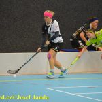 Florbal: Soběslav uspěla o víkendu jen z poloviny