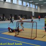 Florbal: Soběslav uspěla o víkendu jen z poloviny