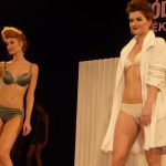 Na módní přehlídce ve Strakonicích se objevila Česká Miss 2015 Nikol Švantnerová