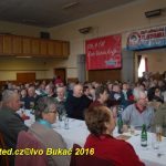 Zaplněným sálem bernartické sokolovny zněly heligonky