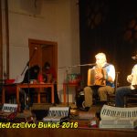 Zaplněným sálem bernartické sokolovny zněly heligonky