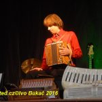 Zaplněným sálem bernartické sokolovny zněly heligonky