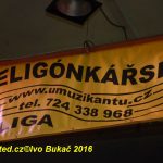 Zaplněným sálem bernartické sokolovny zněly heligonky