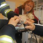Kuriózní zásah hasičů: Pes uvízl ve sprchovém koutě v Třeboni