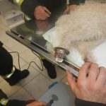 Kuriózní zásah hasičů: Pes uvízl ve sprchovém koutě v Třeboni