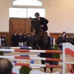 Nadchla přehlídka hřebců i bohatý doprovodný program