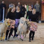 Nadchla přehlídka hřebců i bohatý doprovodný program