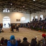 Nadchla přehlídka hřebců i bohatý doprovodný program