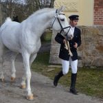 Nadchla přehlídka hřebců i bohatý doprovodný program