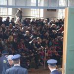 Nadchla přehlídka hřebců i bohatý doprovodný program