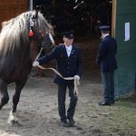 Nadchla přehlídka hřebců i bohatý doprovodný program
