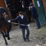 Nadchla přehlídka hřebců i bohatý doprovodný program