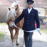 Nadchla přehlídka hřebců i bohatý doprovodný program