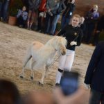 Nadchla přehlídka hřebců i bohatý doprovodný program