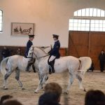 Nadchla přehlídka hřebců i bohatý doprovodný program