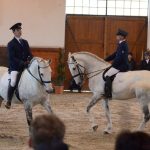 Nadchla přehlídka hřebců i bohatý doprovodný program