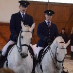 Nadchla přehlídka hřebců i bohatý doprovodný program