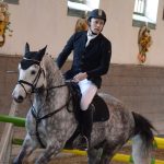 Nadchla přehlídka hřebců i bohatý doprovodný program