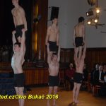 Hvězdy plesové sezony – Five Fellas z Písku