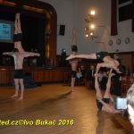Hvězdy plesové sezony – Five Fellas z Písku