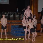 Hvězdy plesové sezony – Five Fellas z Písku