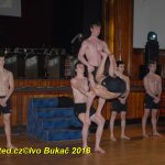 Hvězdy plesové sezony – Five Fellas z Písku