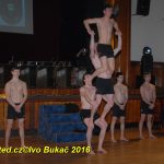 Hvězdy plesové sezony – Five Fellas z Písku