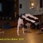 Hvězdy plesové sezony – Five Fellas z Písku