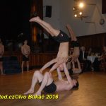 Hvězdy plesové sezony – Five Fellas z Písku
