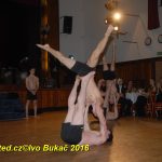 Hvězdy plesové sezony – Five Fellas z Písku