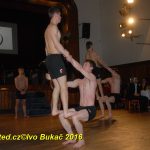 Hvězdy plesové sezony – Five Fellas z Písku