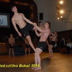 Hvězdy plesové sezony – Five Fellas z Písku