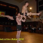Hvězdy plesové sezony – Five Fellas z Písku