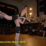 Hvězdy plesové sezony – Five Fellas z Písku
